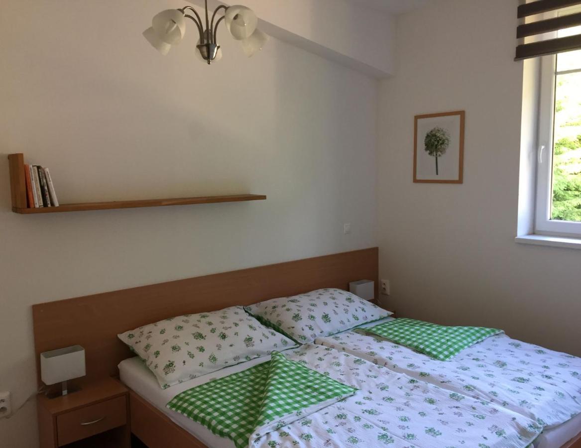 Apartman U Sjezdovky Velké Karlovice エクステリア 写真